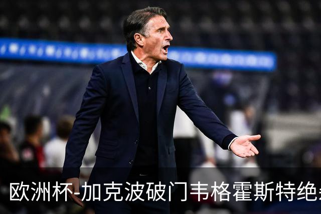 欧洲杯-加克波破门韦格霍斯特绝杀 荷兰2-1波兰